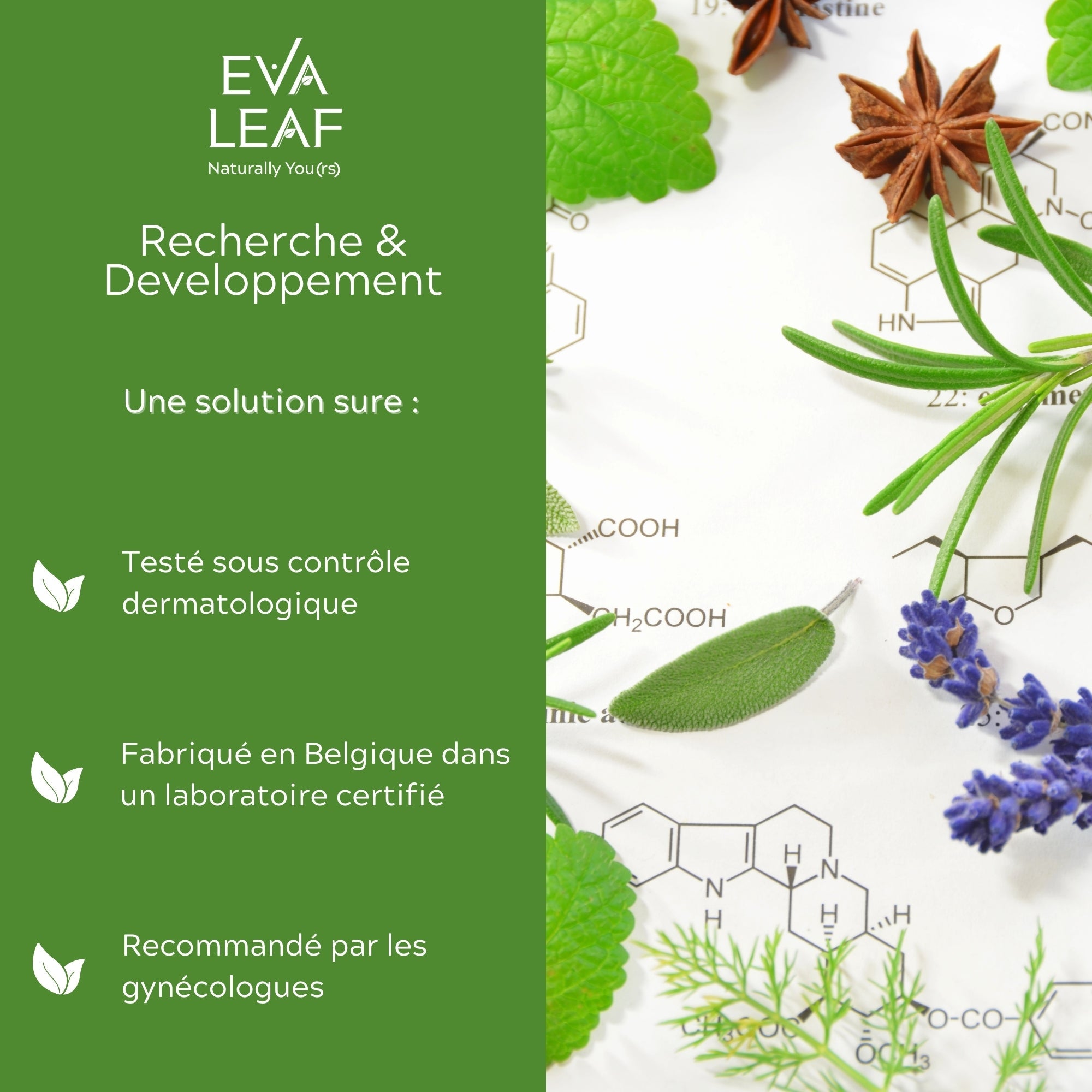 EVA Leaf 30ml : Solution Naturelle pour les Mycoses Vaginales - Eva Leaf