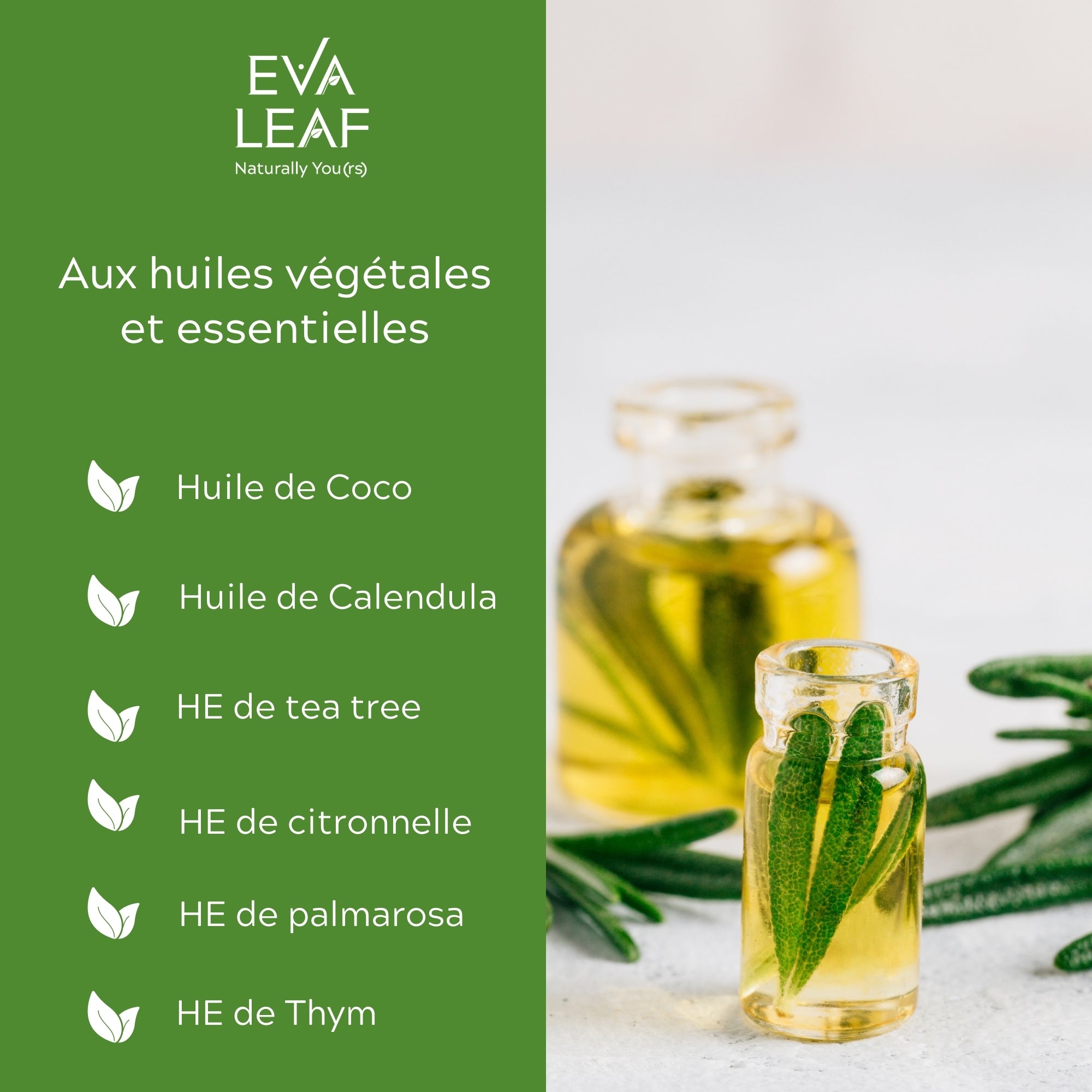 Eva leaf oils