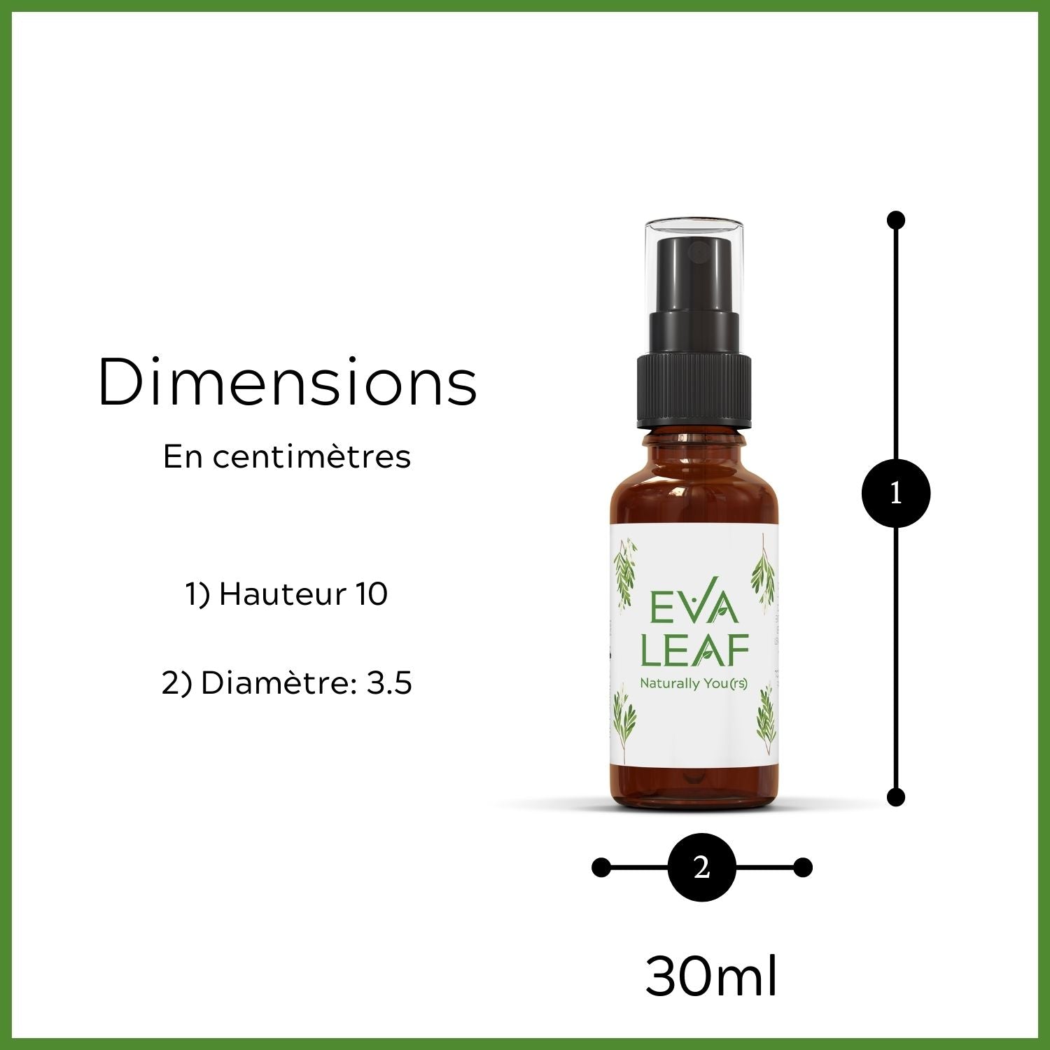 Eva leaf size